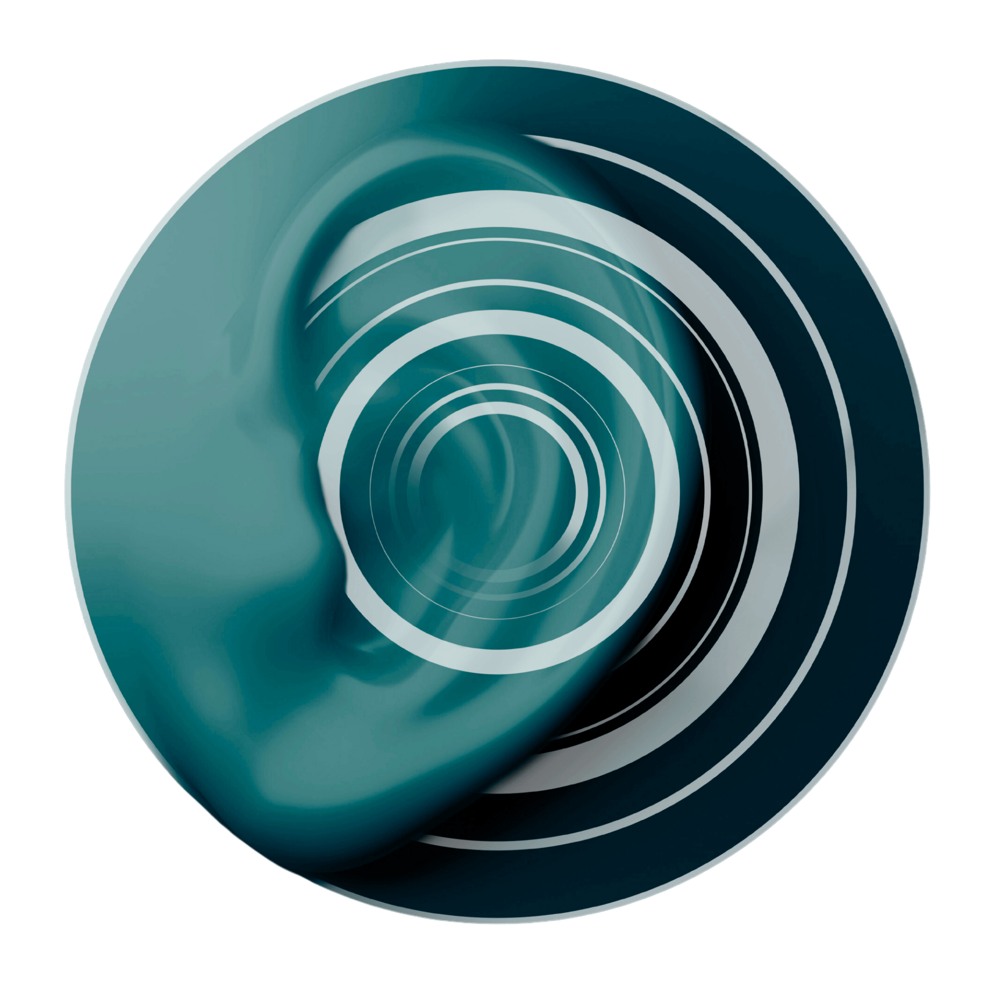 How VaniVert Helps